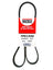 Bando 7PK1550 Accessory Drive Belt