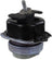 Rein AVE0737 Engine Mount - Left
