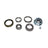 Rein BEW0020P Wheel Bearing Kit - Front