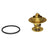 Rein CTI0003 Engine Coolant Thermostat