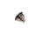 Rein CTN0046 Engine Coolant Thermostat