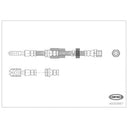 Corteco 49393987 Brake Hydraulic Hose - Front