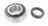 SKF 88128-R Wheel Bearing - Rear