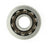 SKF B01 Wheel Bearing - Front Outer