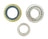 SKF BR20 Wheel Bearing - Rear