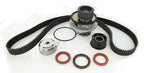 SKF TBK309WP Engine Timing Belt Kit with Water Pump