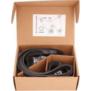 Cloyes B40239 Accessory Drive Belt Kit