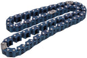 Cloyes C981 Engine Timing Chain - Lower