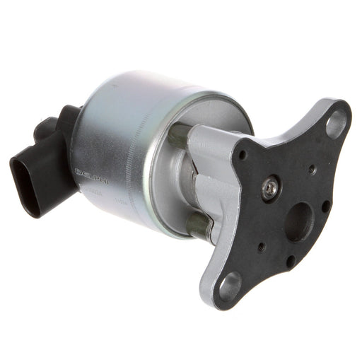 Delphi EG10024 EGR Valve