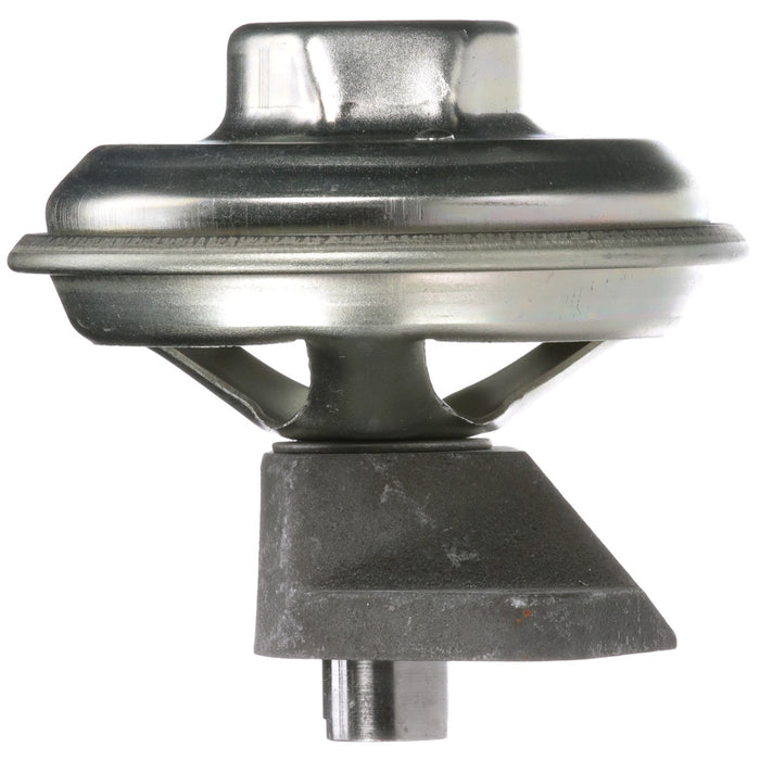 Delphi EG10099 EGR Valve