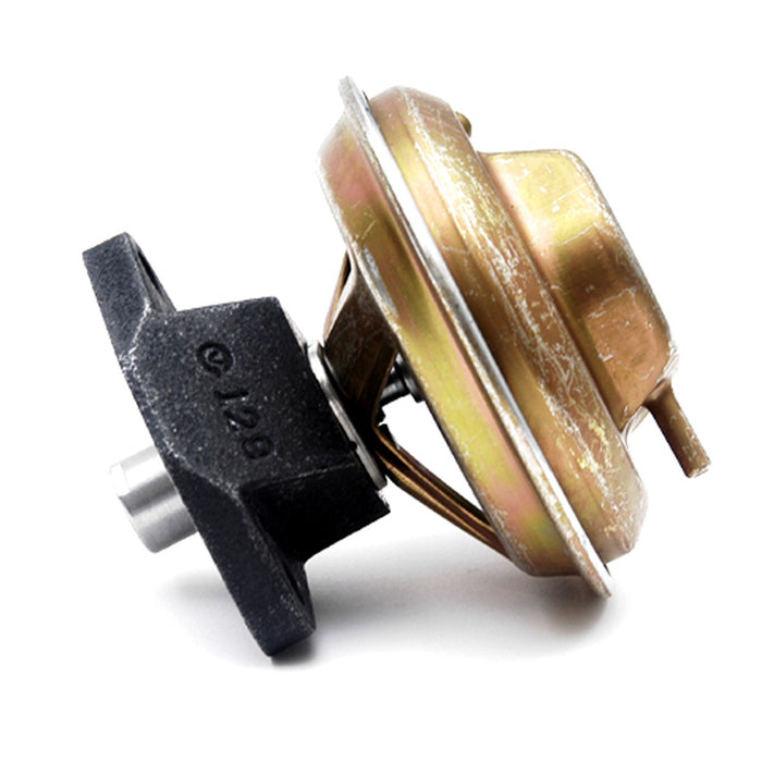 Delphi EG10099 EGR Valve