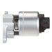 Delphi EG10170 EGR Valve