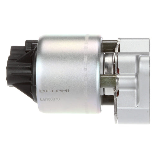 Delphi EG10170 EGR Valve