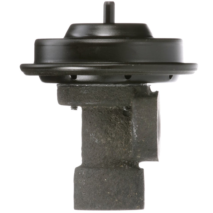 Delphi EG10244 EGR Valve