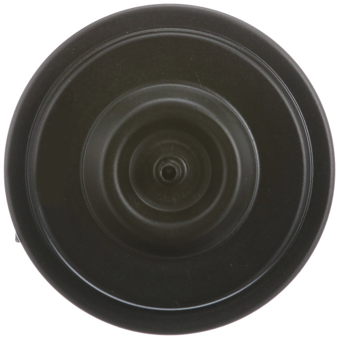 Delphi EG10244 EGR Valve