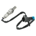Delphi ES20117 Oxygen Sensor - Front, Front Right or Rear