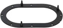 Delphi FA10032 Fuel Pump Tank Seal