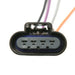 Delphi FG0106 Fuel Pump Module Assembly
