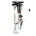 Delphi FG0882 Fuel Pump Module Assembly