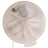 Delphi FG0929 Fuel Pump Module Assembly