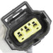 Delphi FG0951 Fuel Pump Module Assembly