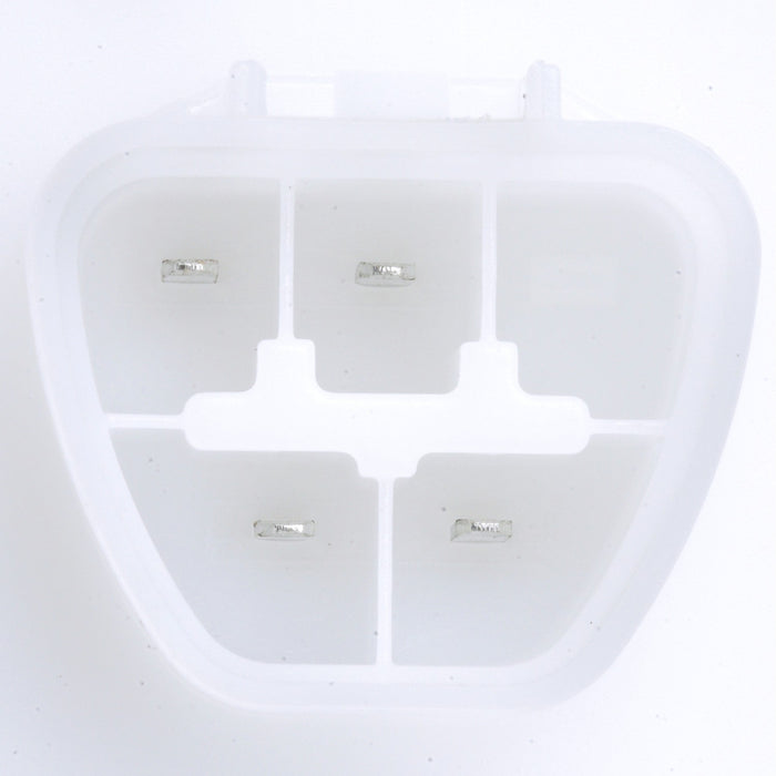 Delphi FG1760 Fuel Pump Module Assembly