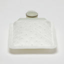Delphi FS0088 Fuel Pump Strainer