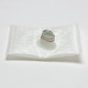 Delphi FS0152 Fuel Pump Strainer