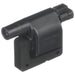 Delphi GN10024 Ignition Coil