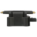 Delphi GN10142 Ignition Coil
