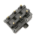 Delphi GN10213 Ignition Coil