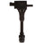 Delphi GN10243 Ignition Coil