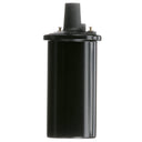 Delphi GN10273 Ignition Coil
