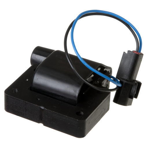 Delphi GN10276 Ignition Coil