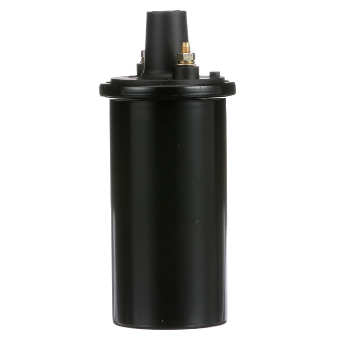 Delphi GN10339 Ignition Coil