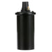 Delphi GN10339 Ignition Coil