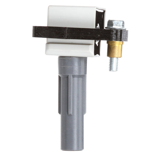 Delphi GN10484 Ignition Coil