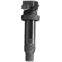 Delphi GN10590 Ignition Coil