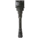 Delphi GN10614 Ignition Coil
