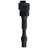 Delphi GN10877 Ignition Coil