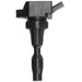 Delphi GN10910 Ignition Coil