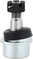 Delphi TAL10095 Alignment Caster / Camber Ball Joint - Front