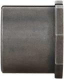 Delphi TAL10125 Alignment Caster / Camber Bushing - Front