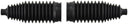 Delphi TBR4253 Rack and Pinion Bellows - Front