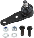 Delphi TC184 Suspension Ball Joint - Front Lower