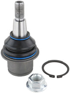 Delphi TC1963 Suspension Ball Joint - Front Lower