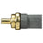 Delphi TS10278 Engine Coolant Temperature Sensor - Rear