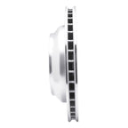 Dynamite Friction 631-74048L Disc Brake Rotor - Rear Left