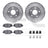 Dynamite Friction 7512-40042 Disc Brake Kit - Rear