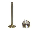 DJ Rock EV3165 Engine Exhaust Valve
